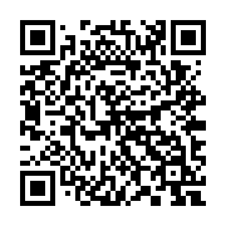 QR code for plate 385-WYN