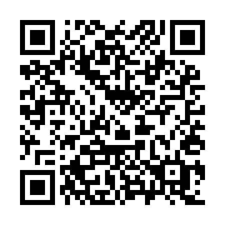 QR code for plate 385-YED