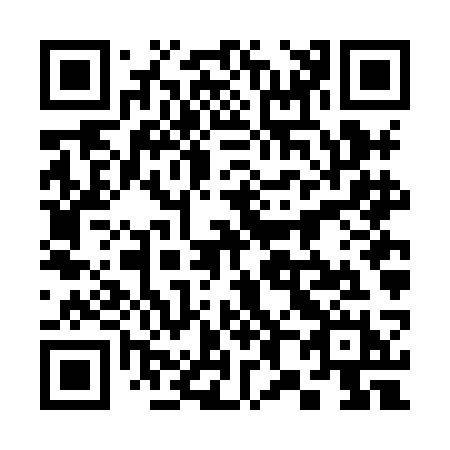 QR code for 386-HCH