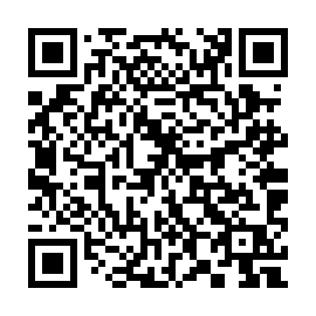 QR code for 386-PIP