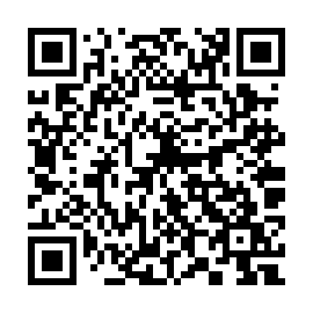 QR code for 386-PKW