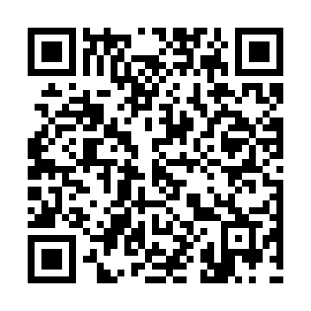 QR code for 386-SER