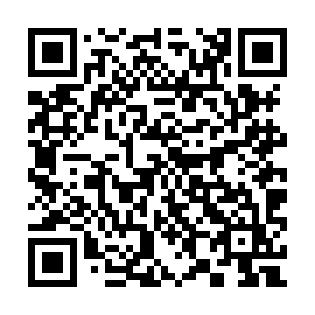 QR code for plate 386-HIZ