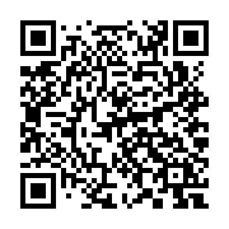 QR code for plate 386-KPX