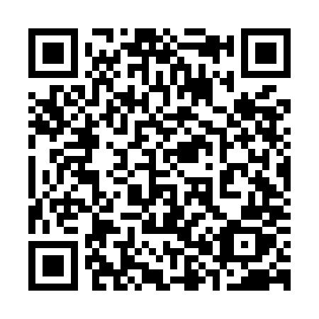 QR code for plate 386-MMZ