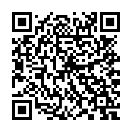 QR code for plate 386-NUM