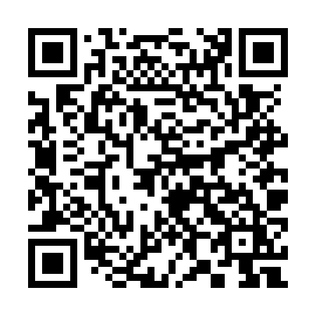 QR code for 386OZZ