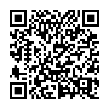 QR code for plate 386-SNP
