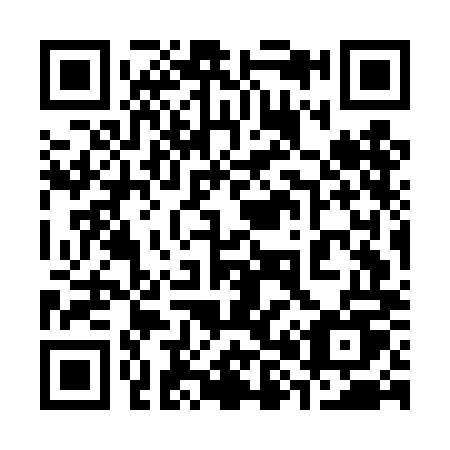 QR code for 387-DMU