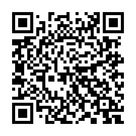 QR code for 387-MAA