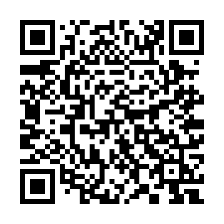 QR code for 387-POJ