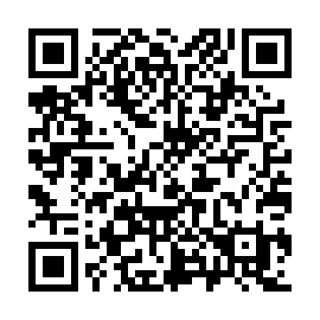 QR code for 387-PPI