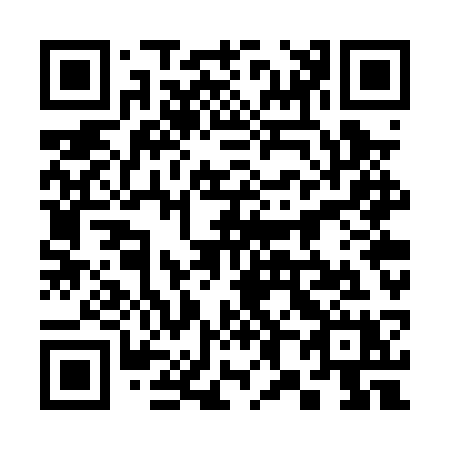 QR code for 387-PSX