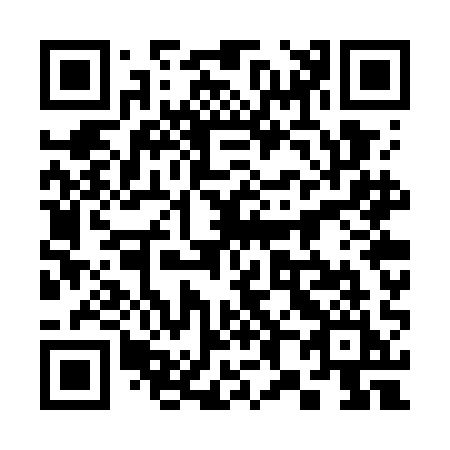 QR code for 387WAI