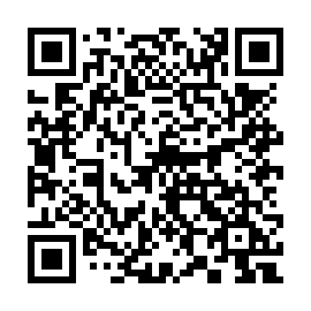 QR code for plate 388-NVE