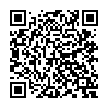 QR code for plate 389-FAS