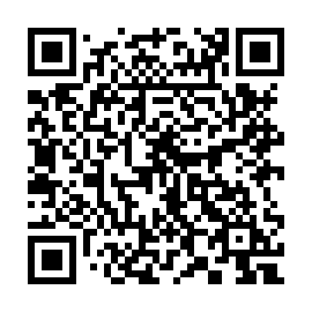 QR code for plate 389-HQI