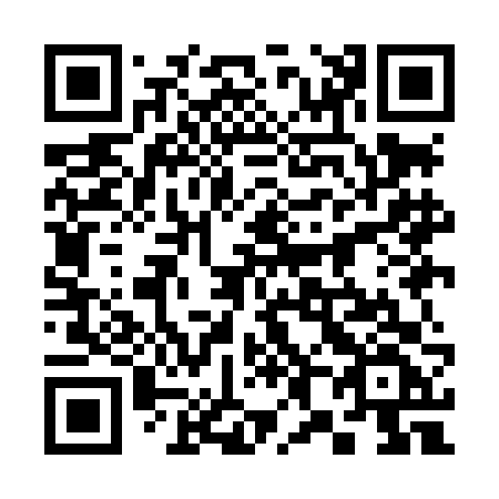 QR code for plate 389-LFF