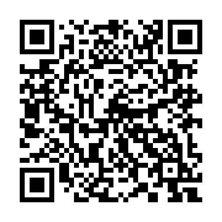 QR code for plate 389-MIK