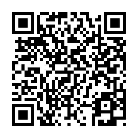 QR code for plate 389-MNT