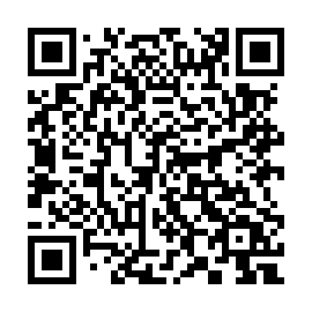 QR code for plate 389-MPT