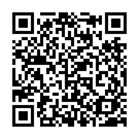 QR code for plate 389-NEK