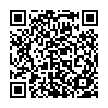 QR code for plate 389-PUN