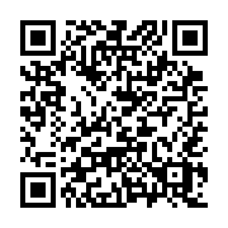 QR code for plate 389-SEX