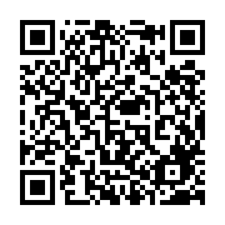 QR code for plate 389-UHF