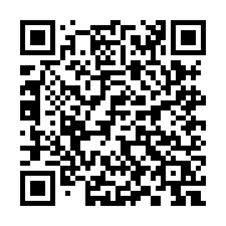 QR code for 390-HNP