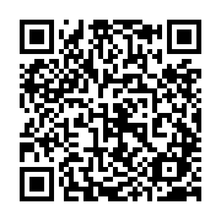 QR code for plate 392-OLM