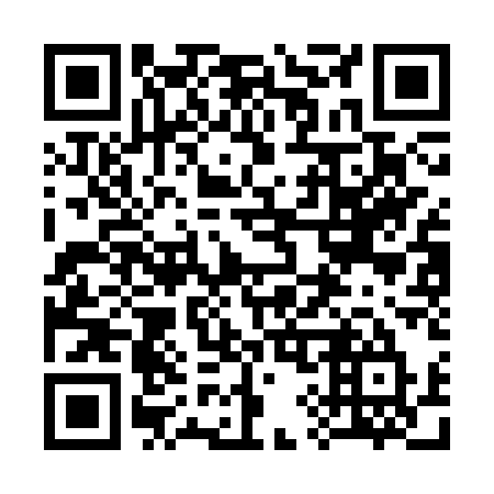 QR code for 393-CQU