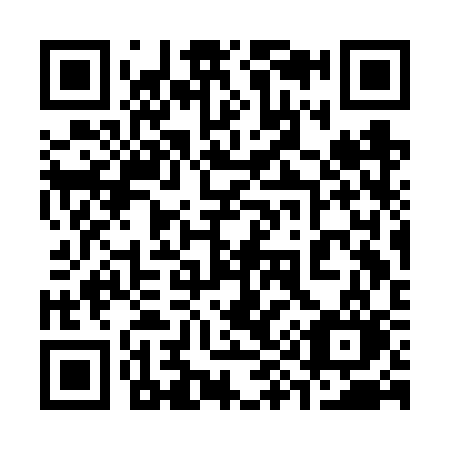 QR code for 393-FSO