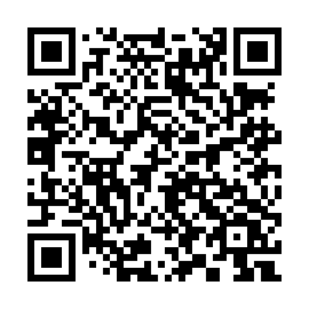 QR code for 393-LDV