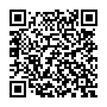 QR code for 393-LTM