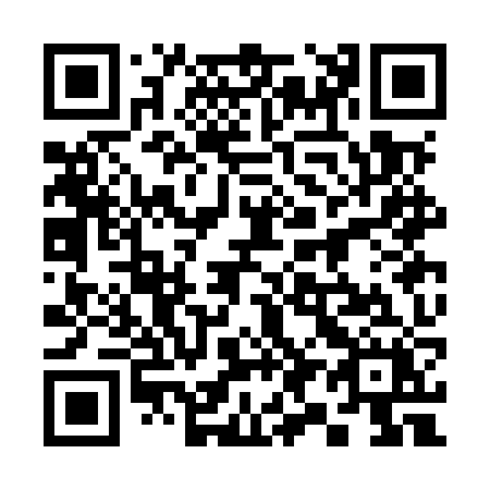 QR code for 393-MZX