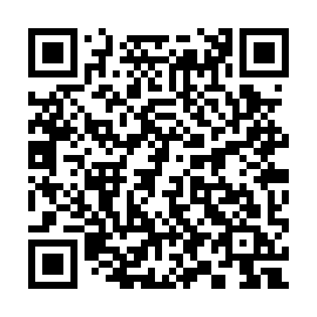 QR code for 393-PYC