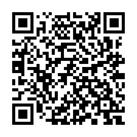 QR code for 393-YAG