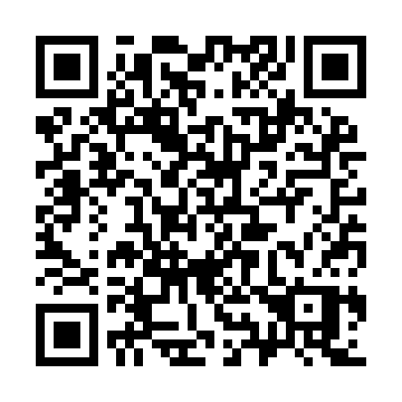 QR code for 393-YCP