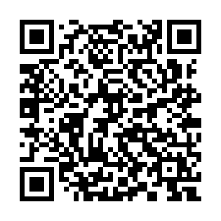 QR code for 393-YMX