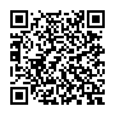 QR code for 393DGA