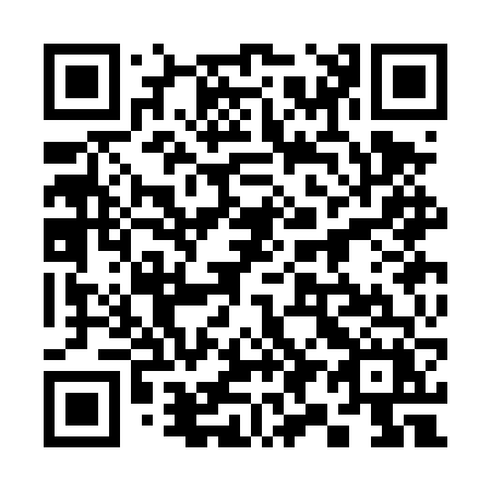 QR code for 393DVX