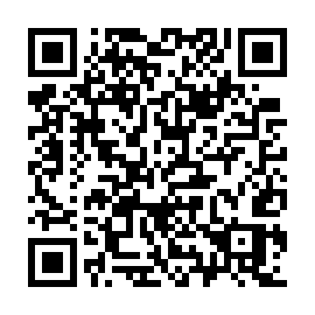QR code for plate 393-GUS