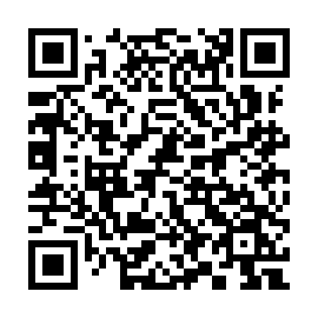 QR code for 393IDN