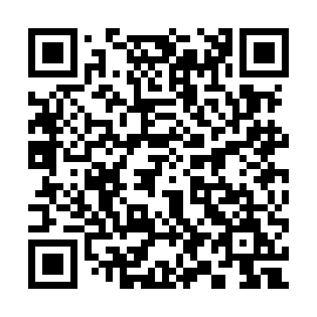 QR code for 393MEM