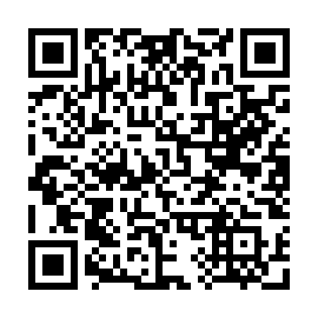 QR code for plate 393-NOS