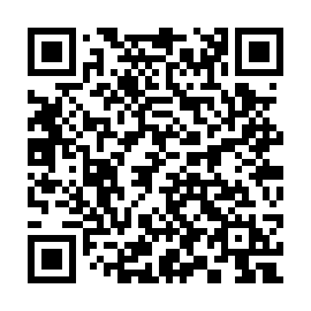 QR code for 393PSH