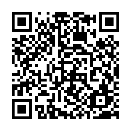 QR code for plate 393-PSV