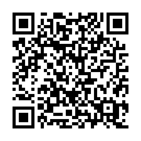 QR code for plate 393-QWE