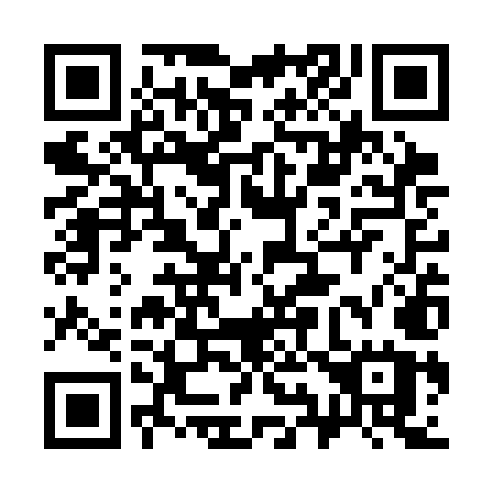 QR code for plate 393-SMU